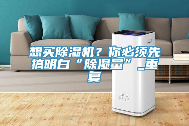 想買(mǎi)除濕機(jī)？你必須先搞明白“除濕量”_重復(fù)