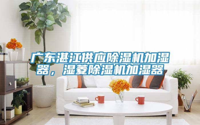 廣東湛江供應(yīng)除濕機(jī)加濕器，濕菱除濕機(jī)加濕器