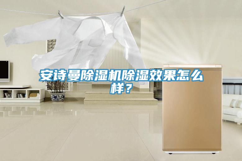 安詩(shī)曼除濕機(jī)除濕效果怎么樣？