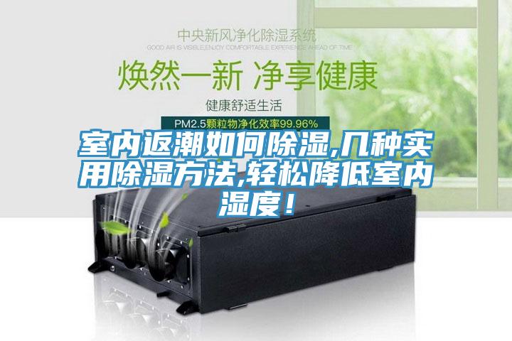 室內(nèi)返潮如何除濕,幾種實(shí)用除濕方法,輕松降低室內(nèi)濕度！