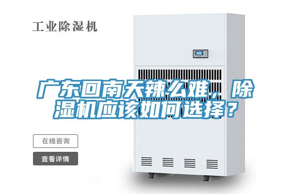 廣東回南天辣么難，除濕機應該如何選擇？