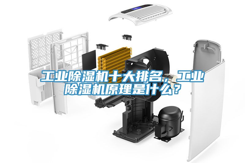 工業(yè)除濕機(jī)十大排名，工業(yè)除濕機(jī)原理是什么？