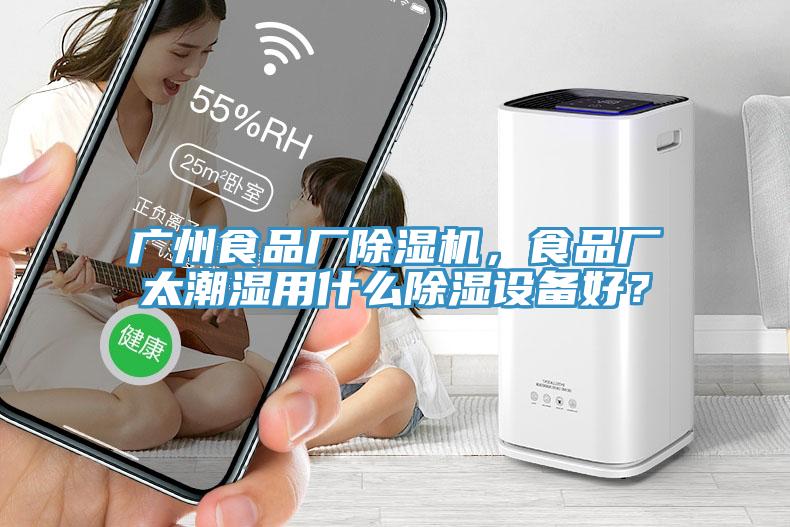 廣州食品廠除濕機，食品廠太潮濕用什么除濕設(shè)備好？