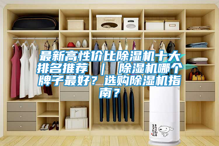 最新高性價比除濕機(jī)十大排名推薦 ｜ 除濕機(jī)哪個牌子最好？選購除濕機(jī)指南？