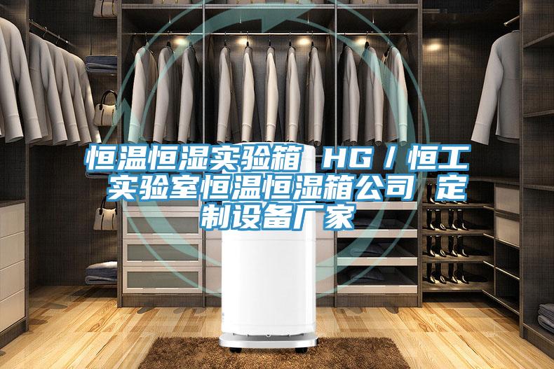恒溫恒濕實驗箱 HG／恒工 實驗室恒溫恒濕箱公司 定制設(shè)備廠家