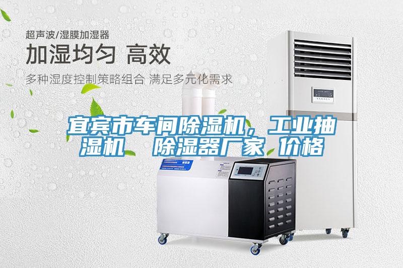 宜賓市車間除濕機(jī)，工業(yè)抽濕機(jī)  除濕器廠家 價(jià)格