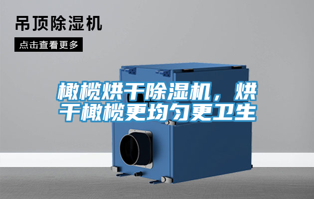 橄欖烘干除濕機(jī)，烘干橄欖更均勻更衛(wèi)生