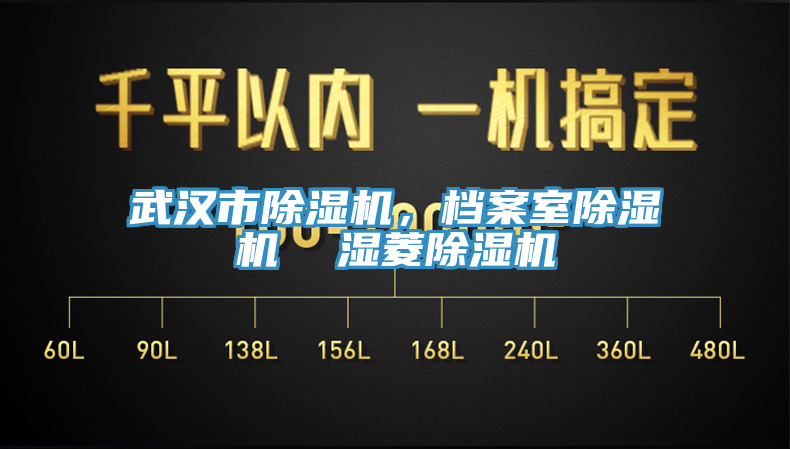 武漢市除濕機(jī)，檔案室除濕機(jī)  濕菱除濕機(jī)