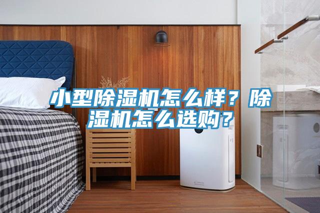 小型除濕機(jī)怎么樣？除濕機(jī)怎么選購(gòu)？