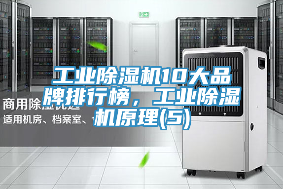 工業(yè)除濕機10大品牌排行榜，工業(yè)除濕機原理(5)