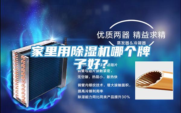 家里用除濕機(jī)哪個牌子好？