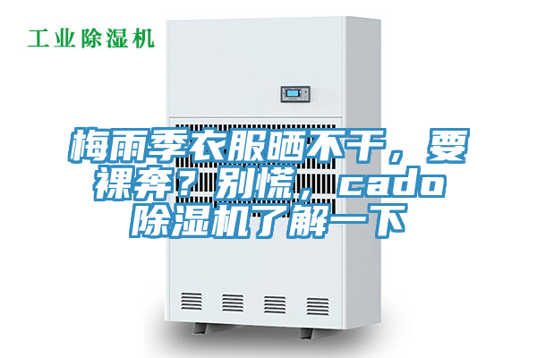 梅雨季衣服曬不干，要裸奔？別慌，cado除濕機了解一下