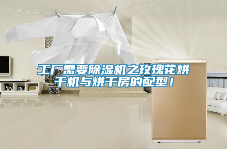 工廠需要除濕機之玫瑰花烘干機與烘干房的配型！
