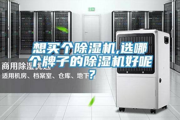 想買(mǎi)個(gè)除濕機(jī),選哪個(gè)牌子的除濕機(jī)好呢？