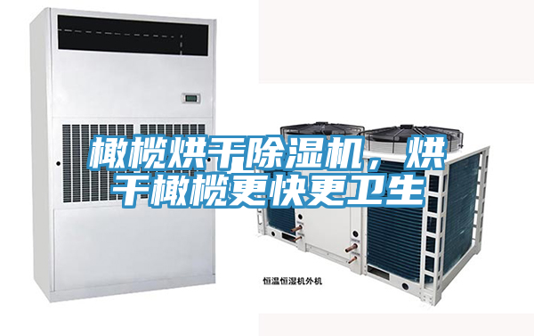 橄欖烘干除濕機(jī)，烘干橄欖更快更衛(wèi)生
