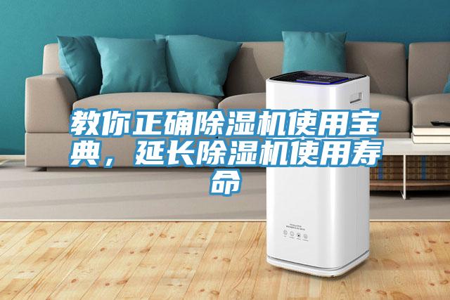 教你正確除濕機使用寶典，延長除濕機使用壽命