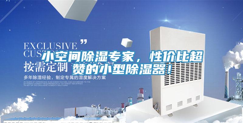小空間除濕專家，性價比超贊的小型除濕器！