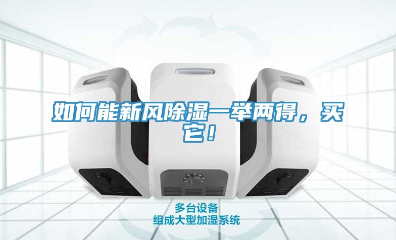如何能新風(fēng)除濕一舉兩得，買它！