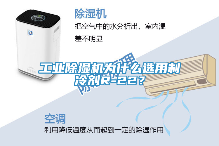 工業(yè)除濕機為什么選用制冷劑R-22？