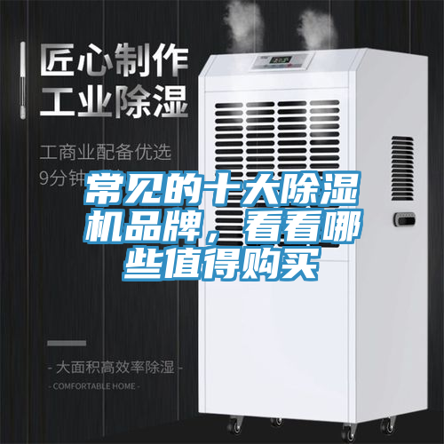 常見的十大除濕機(jī)品牌，看看哪些值得購買