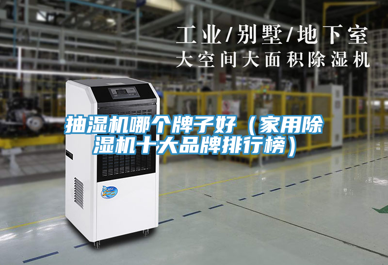 抽濕機(jī)哪個牌子好（家用除濕機(jī)十大品牌排行榜）