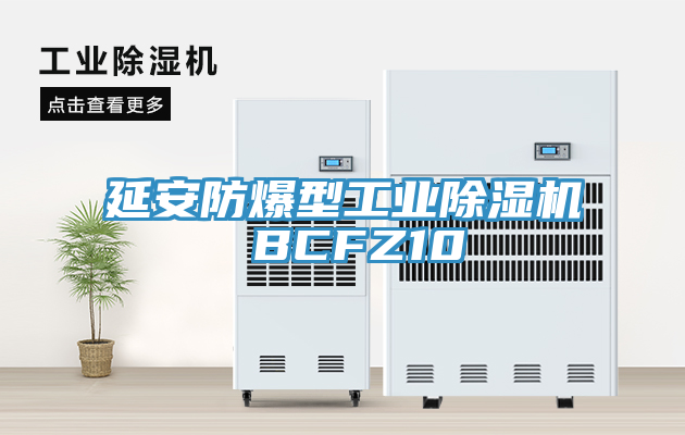 延安防爆型工業(yè)除濕機 BCFZ10