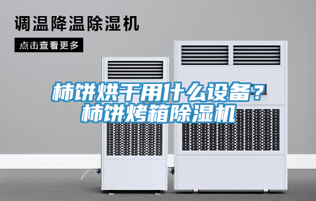 柿餅烘干用什么設(shè)備？柿餅烤箱除濕機(jī)
