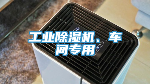 工業(yè)除濕機(jī)、車間專用