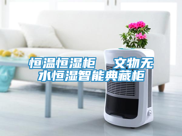 恒溫恒濕柜  文物無(wú)水恒濕智能典藏柜