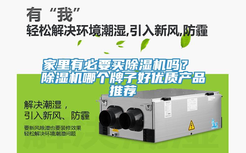 家里有必要買除濕機(jī)嗎？ 除濕機(jī)哪個(gè)牌子好優(yōu)質(zhì)產(chǎn)品推薦