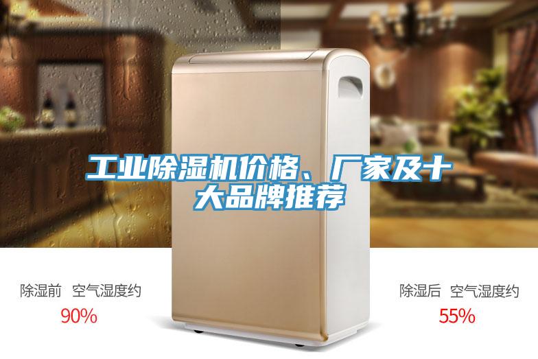 工業(yè)除濕機(jī)價(jià)格、廠(chǎng)家及十大品牌推薦