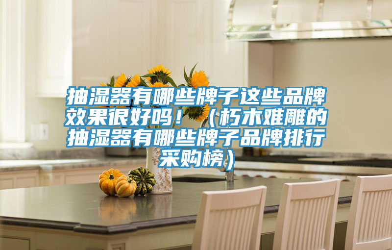 抽濕器有哪些牌子這些品牌效果很好嗎?。ㄐ嗄倦y雕的抽濕器有哪些牌子品牌排行采購榜）