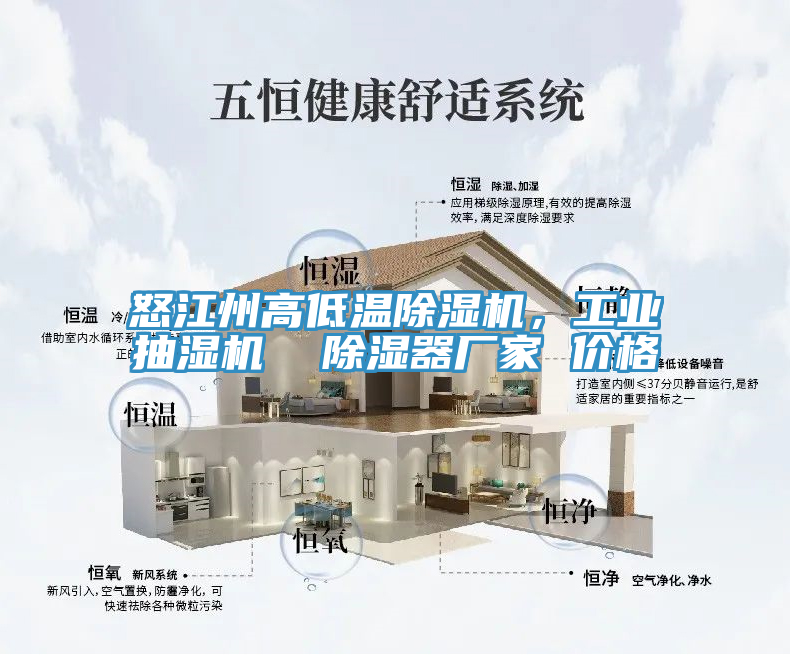 怒江州高低溫除濕機(jī)，工業(yè)抽濕機(jī)  除濕器廠家 價(jià)格