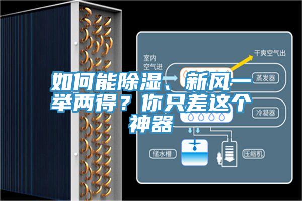 如何能除濕、新風(fēng)一舉兩得？你只差這個(gè)神器