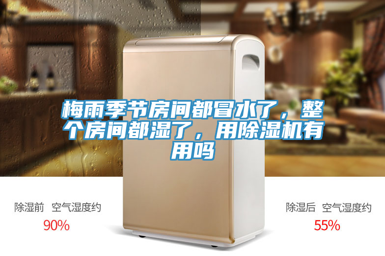梅雨季節(jié)房間都冒水了，整個房間都濕了，用除濕機有用嗎