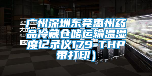 廣州深圳東莞惠州藥品冷藏倉(cāng)儲(chǔ)運(yùn)輸溫濕度記錄儀179-THP帶打印）
