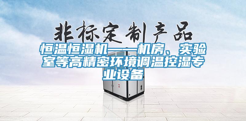 恒溫恒濕機——機房、實驗室等高精密環(huán)境調(diào)溫控濕專業(yè)設(shè)備