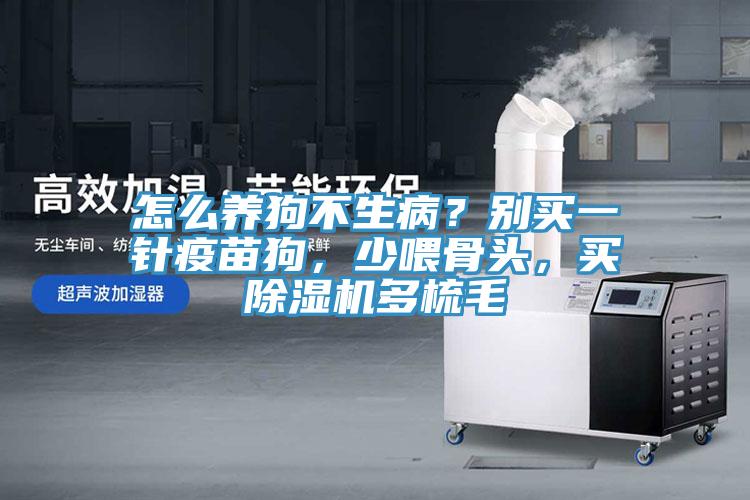怎么養(yǎng)狗不生?。縿e買一針疫苗狗，少喂骨頭，買除濕機(jī)多梳毛