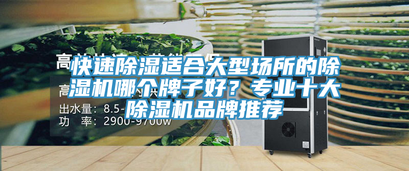 快速除濕適合大型場(chǎng)所的除濕機(jī)哪個(gè)牌子好？專業(yè)十大除濕機(jī)品牌推薦