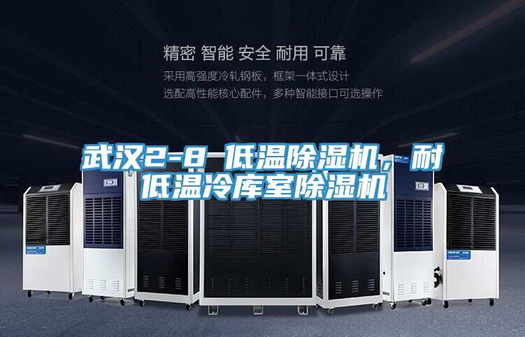 武漢2-8℃低溫除濕機(jī)，耐低溫冷庫室除濕機(jī)