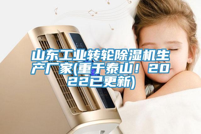 山東工業(yè)轉(zhuǎn)輪除濕機(jī)生產(chǎn)廠(chǎng)家(重于泰山！2022已更新)
