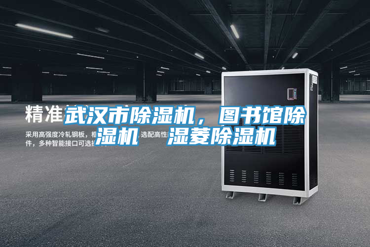 武漢市除濕機(jī)，圖書館除濕機(jī)  濕菱除濕機(jī)