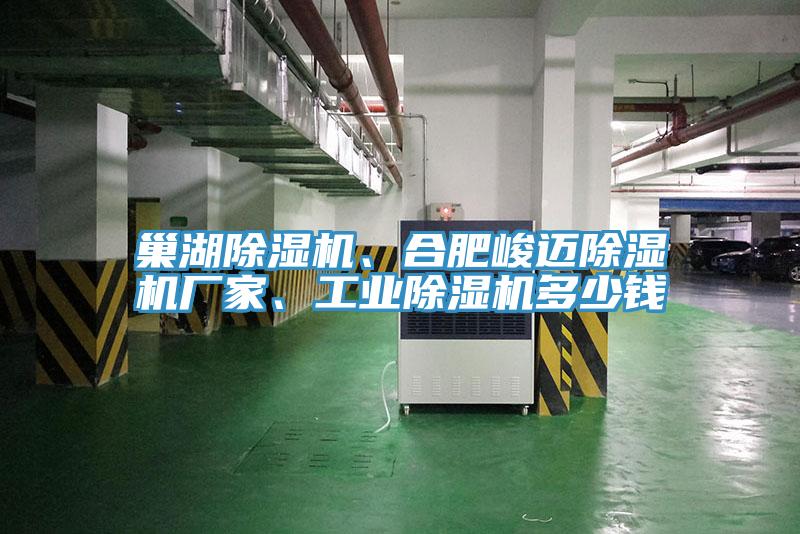 巢湖除濕機(jī)、合肥峻邁除濕機(jī)廠家、工業(yè)除濕機(jī)多少錢