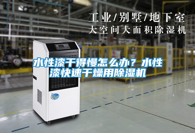 水性漆干得慢怎么辦？水性漆快速干燥用除濕機