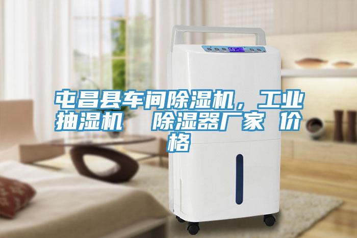 屯昌縣車(chē)間除濕機(jī)，工業(yè)抽濕機(jī)  除濕器廠(chǎng)家 價(jià)格