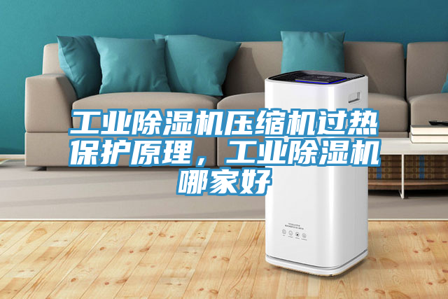 工業(yè)除濕機(jī)壓縮機(jī)過(guò)熱保護(hù)原理，工業(yè)除濕機(jī)哪家好
