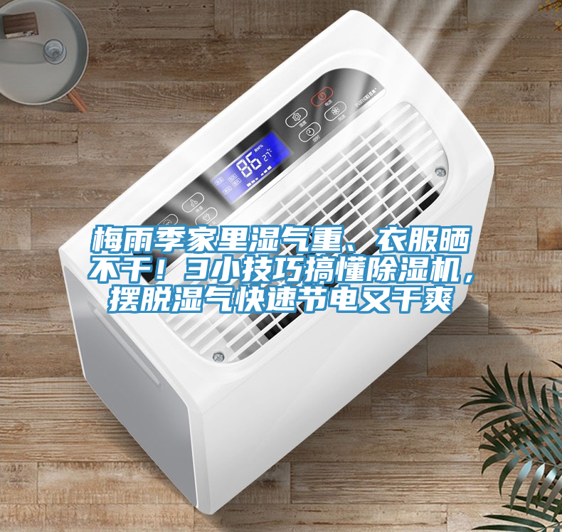 梅雨季家里濕氣重、衣服曬不干！3小技巧搞懂除濕機(jī)，擺脫濕氣快速節(jié)電又干爽