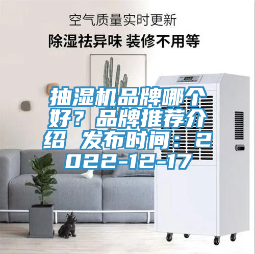 抽濕機(jī)品牌哪個(gè)好？品牌推薦介紹 發(fā)布時(shí)間：2022-12-17