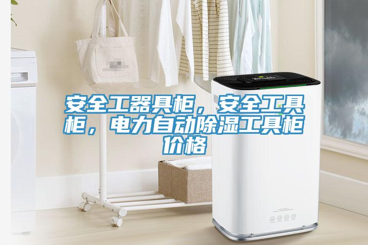 安全工器具柜，安全工具柜，電力自動(dòng)除濕工具柜價(jià)格