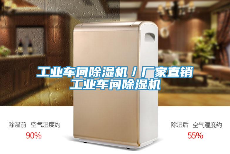 工業(yè)車(chē)間除濕機(jī)／廠家直銷(xiāo)工業(yè)車(chē)間除濕機(jī)